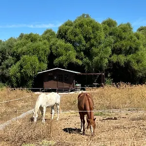 Camping Rustica En Un Rancho Con Caballos, Prado Del Rey, Andalucia